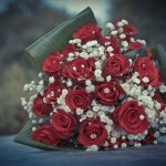 IMG_3815_1