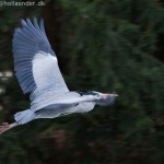 wpid324-IMG_1177.jpg