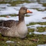 wpid330-IMG_1198.jpg
