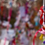 wpid332-IMG_1209.jpg