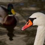 wpid336-IMG_1218.jpg