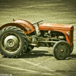 wpid407-IMG_5454.jpg