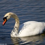 wpid453-IMG_1525.jpg