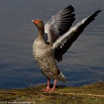 wpid455-IMG_1527.jpg