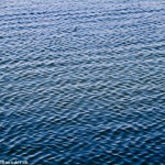 wpid457-IMG_1530.jpg