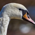 wpid461-IMG_1539.jpg