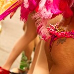 wpid558-IMG_2447.jpg