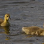 wpid634-IMG_2601.jpg
