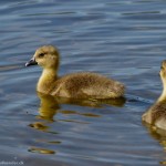 wpid640-IMG_2614.jpg