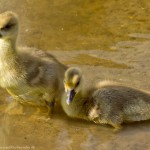 wpid644-IMG_2628.jpg