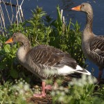 wpid652-IMG_2671.jpg