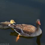 wpid654-IMG_2673.jpg